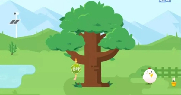 如果想画一幅岁寒三友图