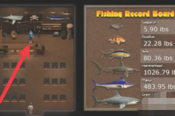 纳迪亚之宝钓鱼任务怎么过