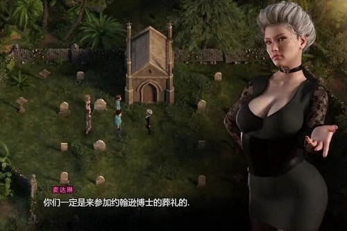 纳迪亚之宝迷路的鸟任务怎么做