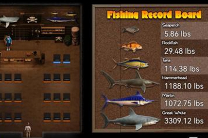 纳迪亚之宝3000磅大白鲨怎么刷