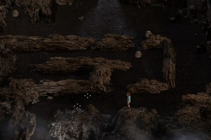 纳迪亚之宝红参在哪找