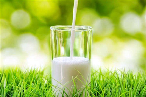 煮牛奶加糖对营养有影响吗-煮牛奶加糖对营养影响介绍