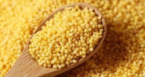 黄米的功效与作用、禁忌和食用方法