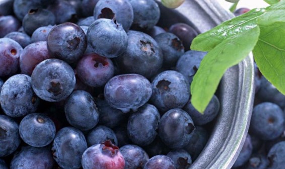 蓝莓哪些人不能吃(图1)