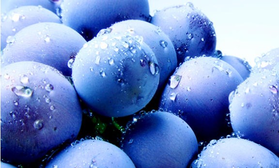 蓝莓怎么保存(图1)