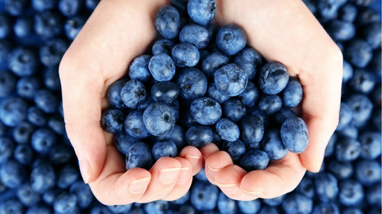 蓝莓能放在冰箱里面吗(图2)