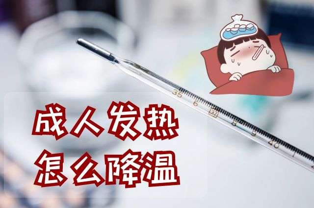 成人发热怎么降温(图1)