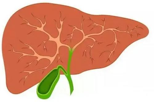 肝癌的早期症状和前兆(图1)