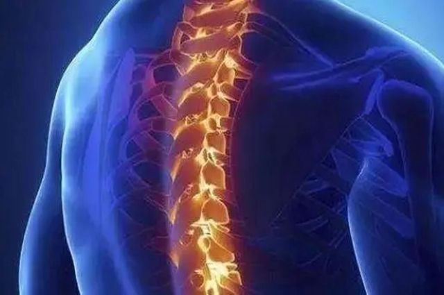 脊髓炎一般要多久恢复正常(图1)