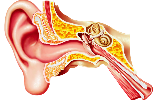 中耳炎癥狀有哪些表現