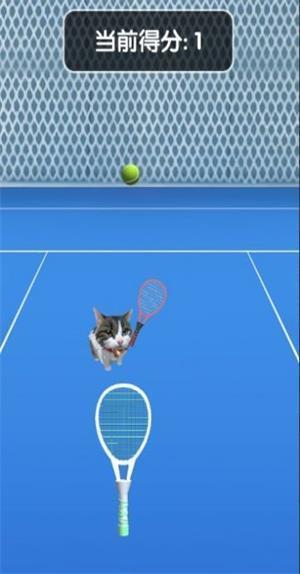 猫咪网球大赛免费手机版